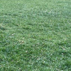 Meet your Posher, Marwa